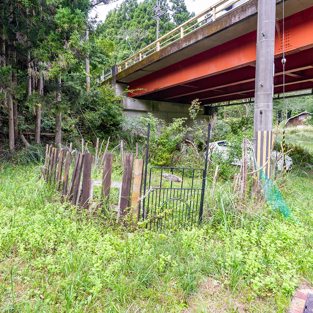 家庭菜園