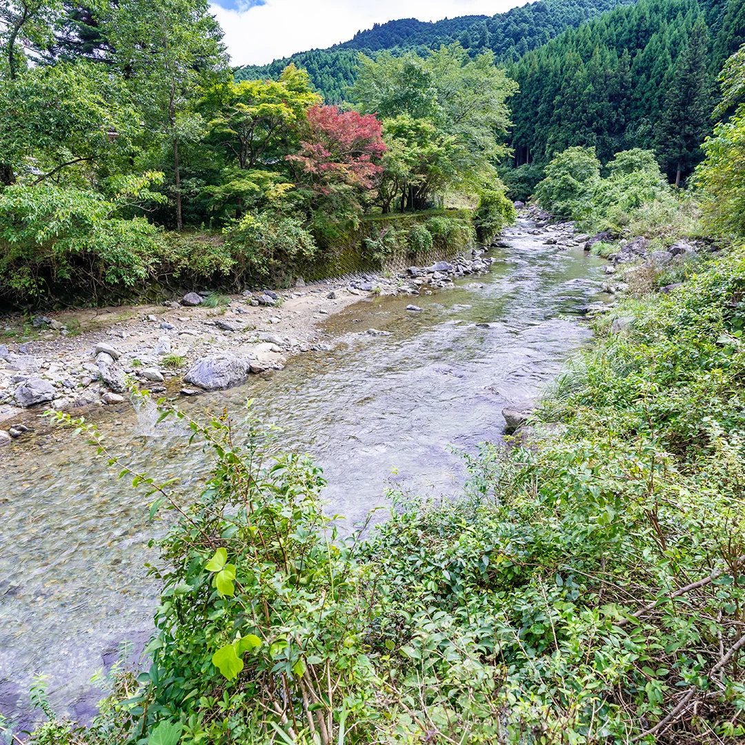 高見川