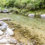 高見川