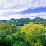 ウッドデッキからの眺め ウッドデッキからの眺め