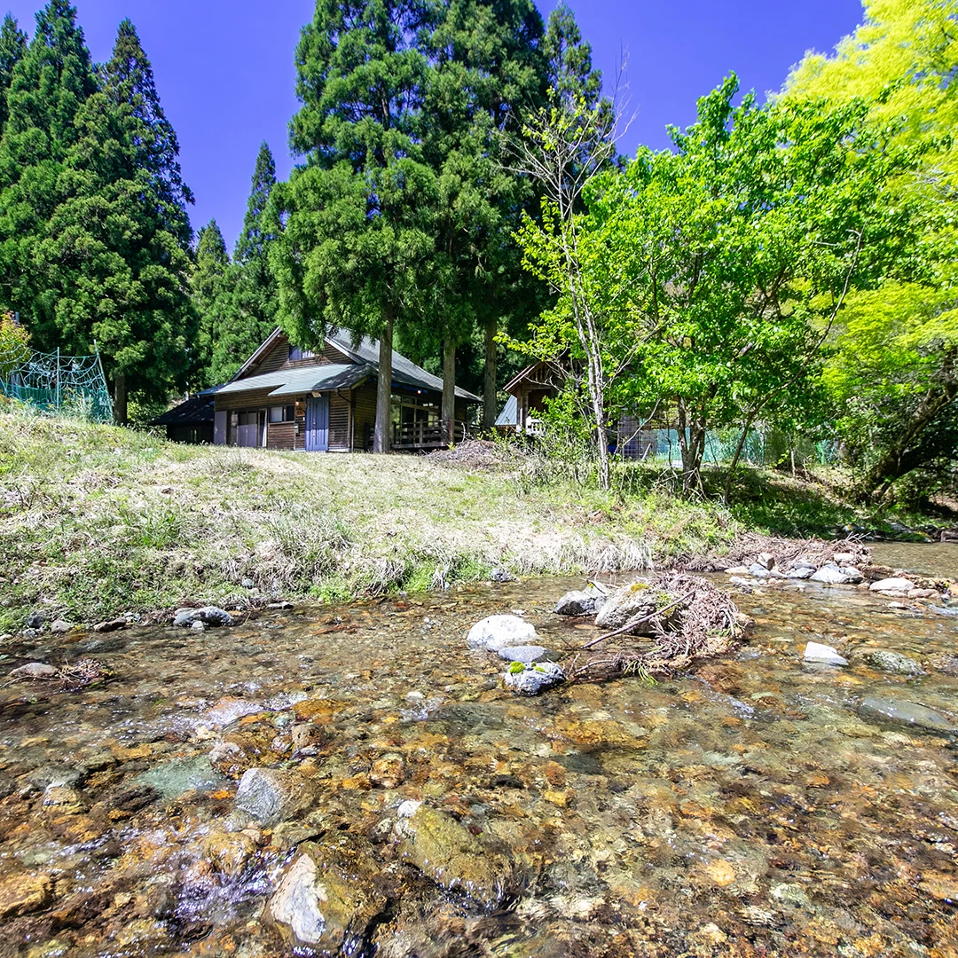 川からの外観