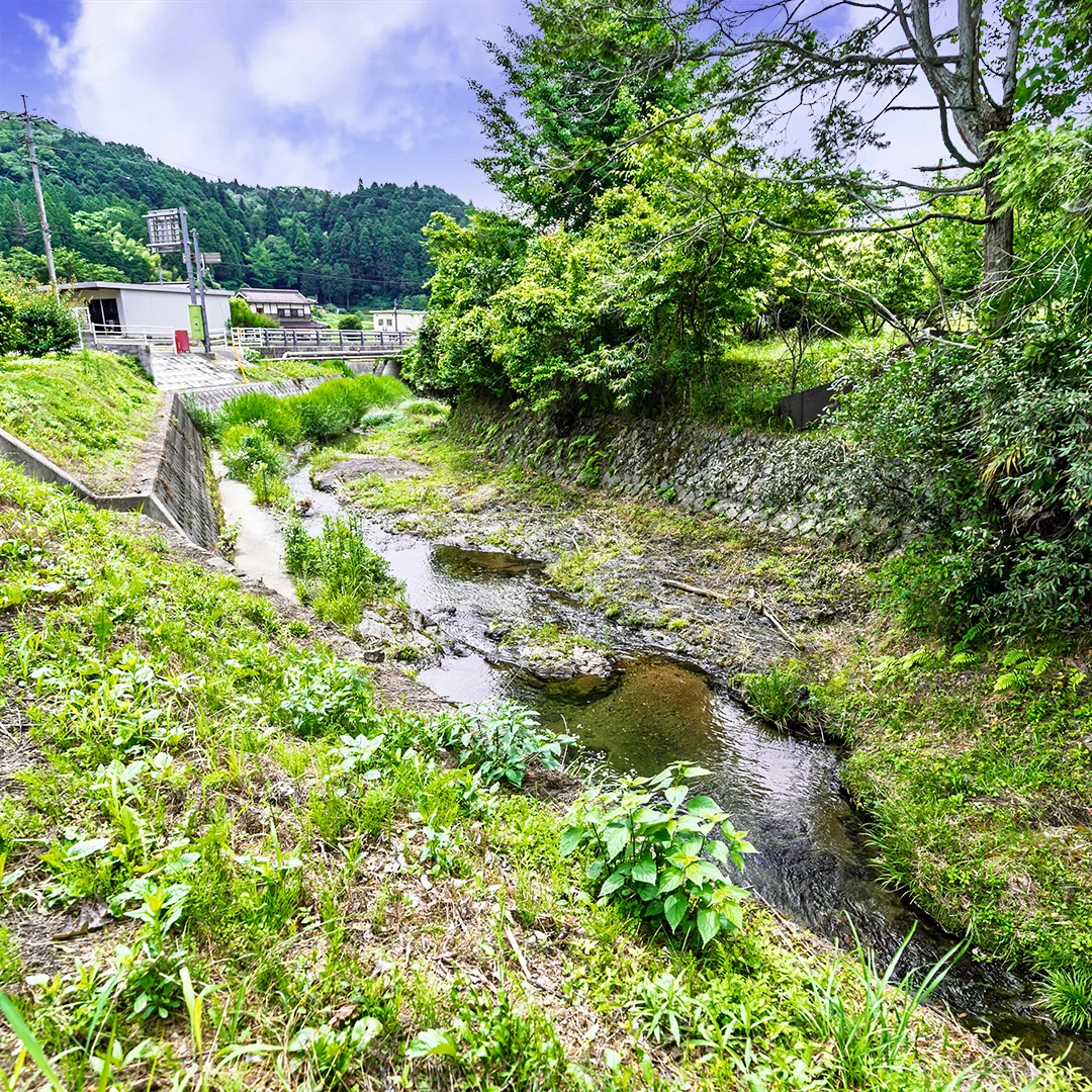 川上川に面しています