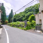 道路向かいの土地