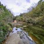 近くを流れる真国川