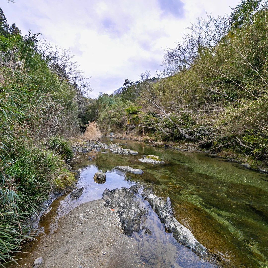 近くを流れる真国川