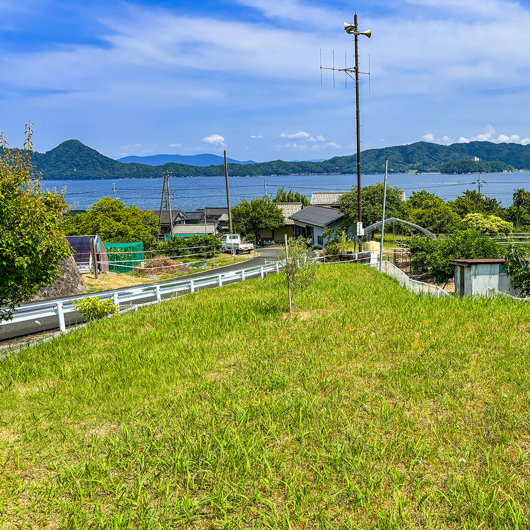 広い庭があります