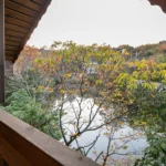 バルコニーからの眺め