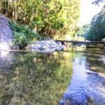 川遊びが楽しめます 川遊びが楽しめます