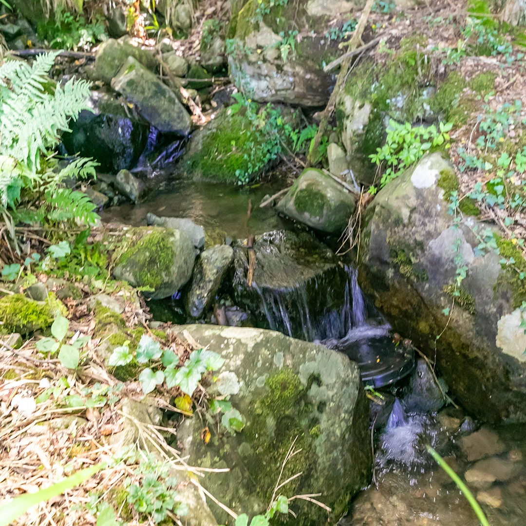 敷地に沿って流れるせせらぎ