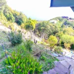 段々畑が楽しめます 段々畑が楽しめます