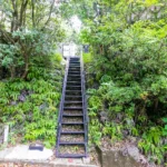 道路からの階段