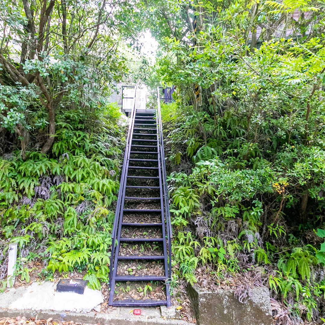 道路からの階段