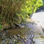 近隣を流れる川