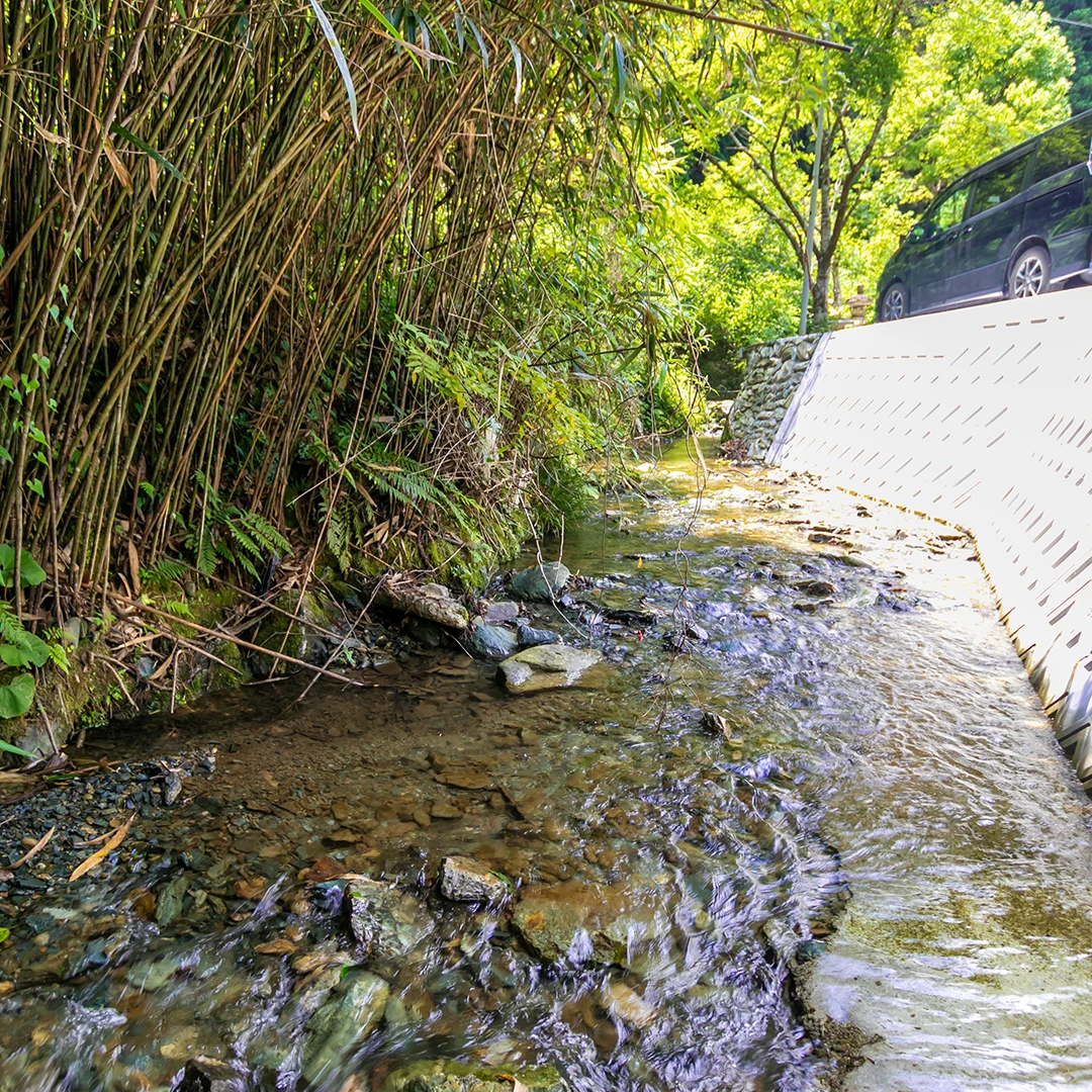近隣を流れる川