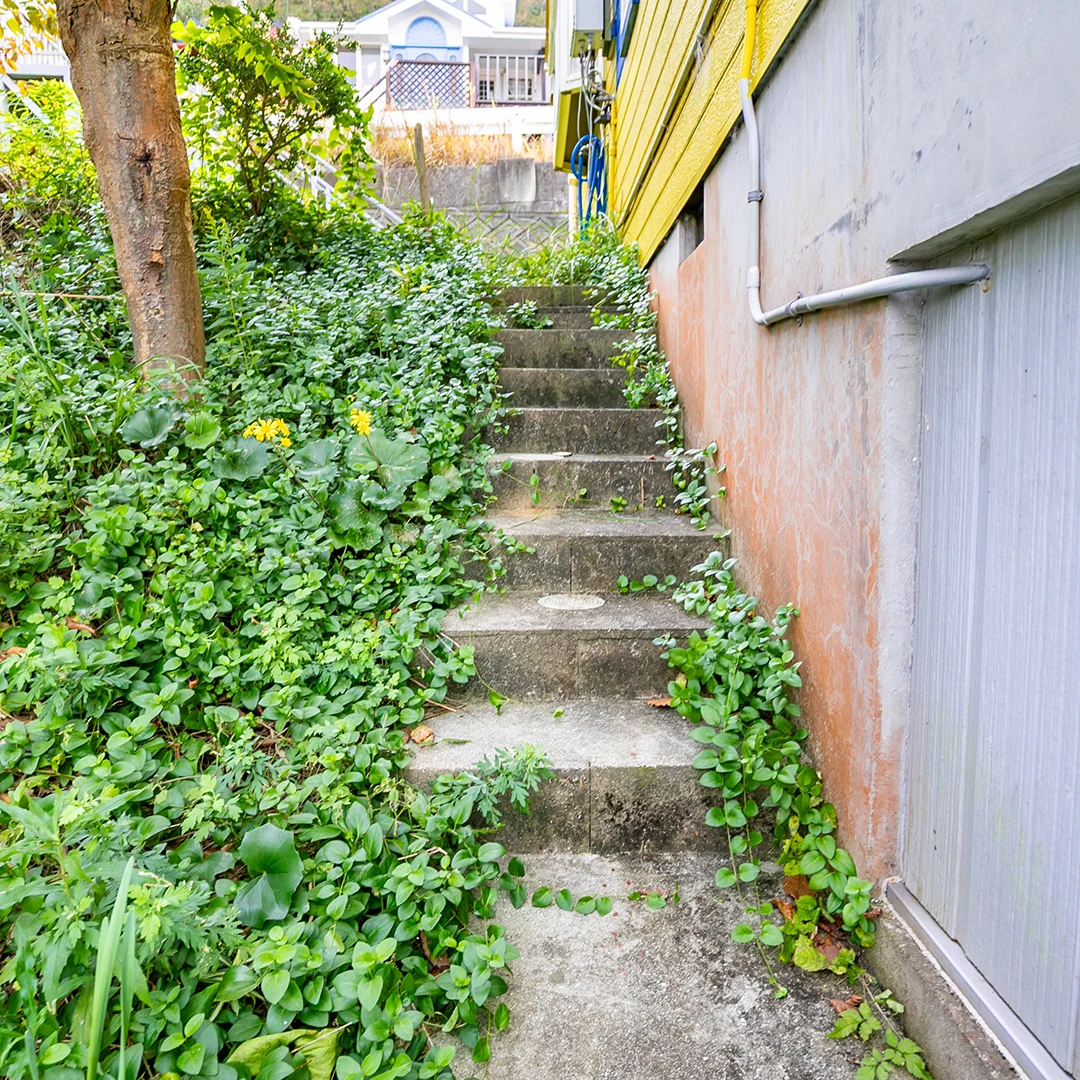 建物裏側へとつながる階段