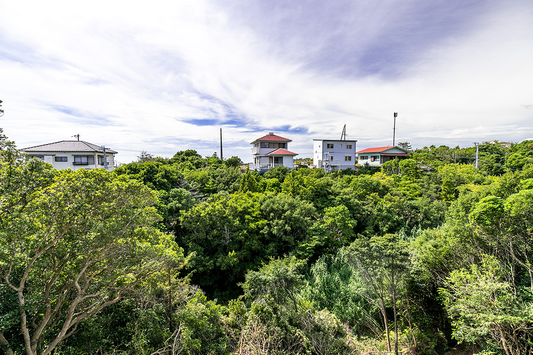 窓からの風景