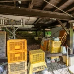 鉄骨基礎の下（薪置き場）