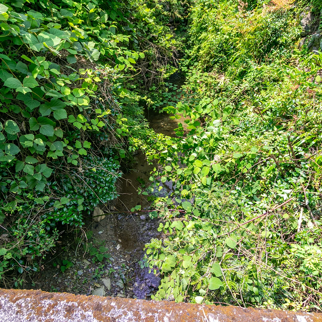 敷地に沿って流れる水路