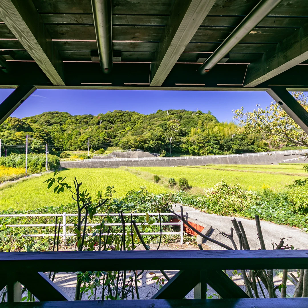 ウッドデッキからの眺め