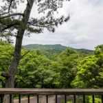 遠くの景色が楽しめます