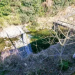 敷地のすぐそばを流れる川