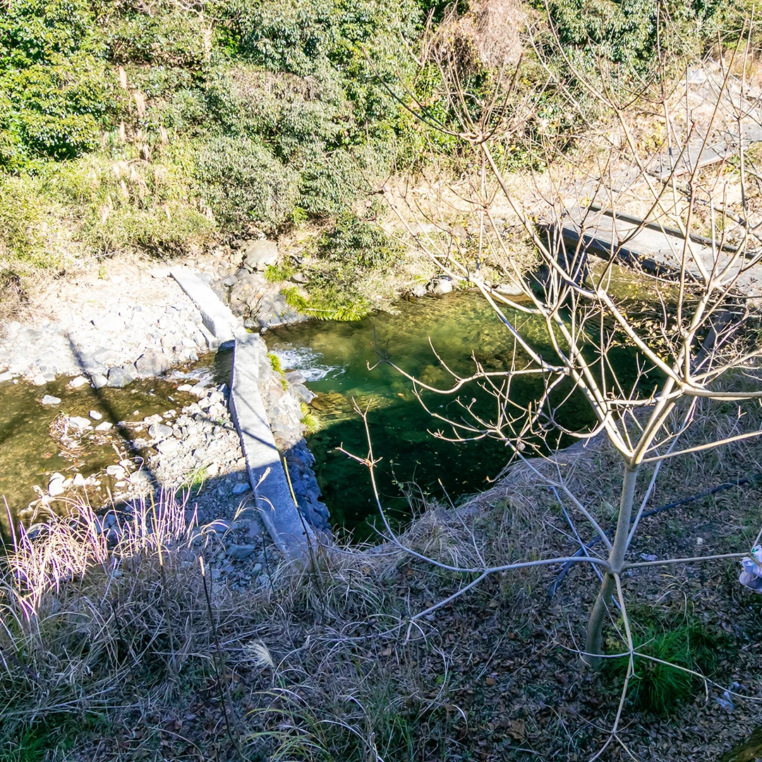 敷地のすぐそばを流れる川