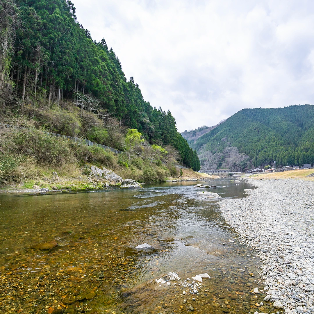 桂川
