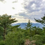 バルコニーからの景色