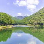 新池
