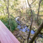 ウッドデッキからの眺め