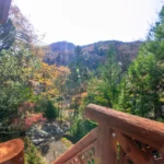 玄関ポーチからの眺め