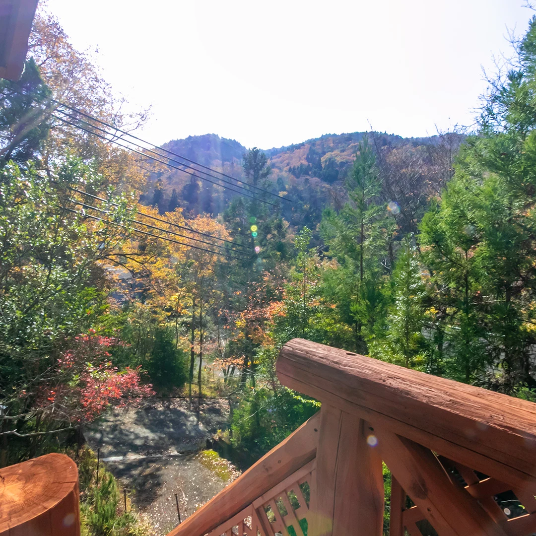 玄関ポーチからの眺め