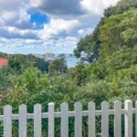 南側ウッドデッキからの眺め