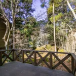 ウッドデッキからの眺め ウッドデッキからの眺め