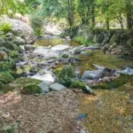 近隣を流れる安富ダム上流の林田川