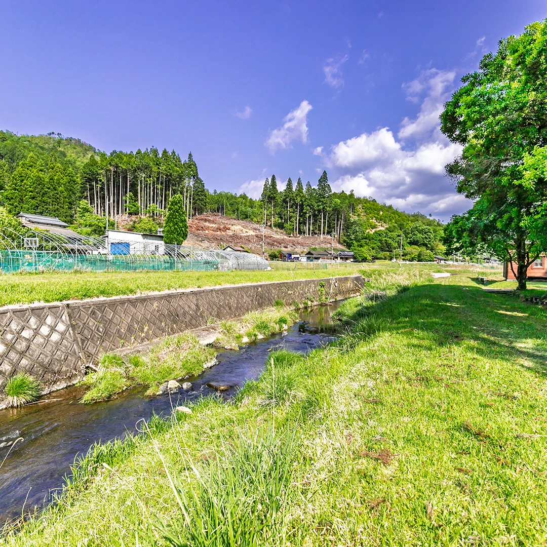 すぐ目の前に川が流れています